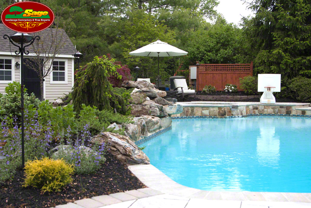 Plantings bordering swimming pool